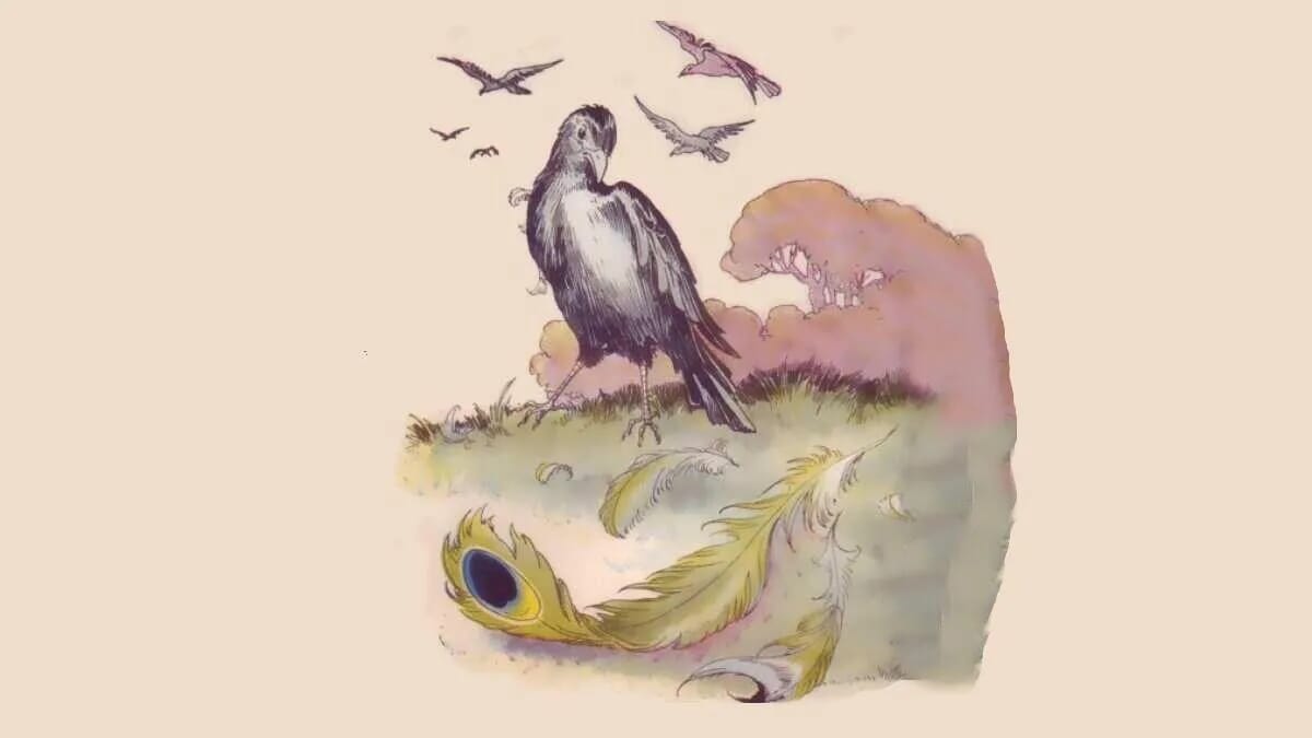 Krähe Vogel Federn Schönheit Leben Überheblichkeit Stolz · AVENTIN Storys