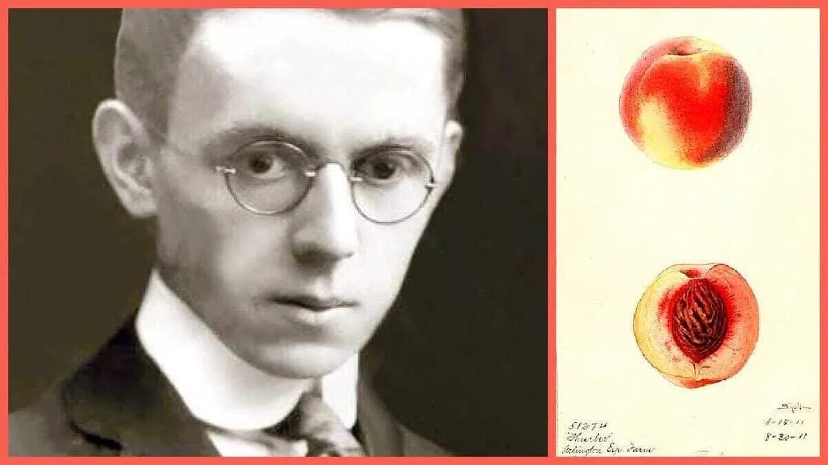 James Thurber · Schriftsteller und Zeichner · USA · Kurzgeschichten und Fabeln