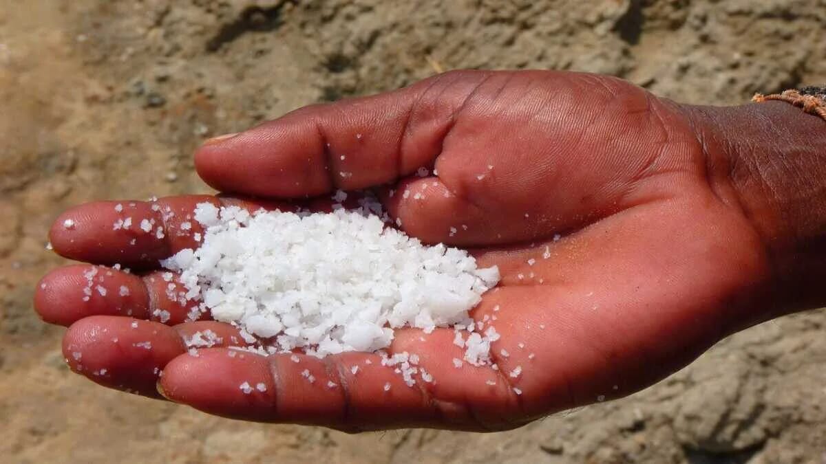 Eine Hand hält eine Menge grobes Meersalz, das auf der Handfläche liegt.