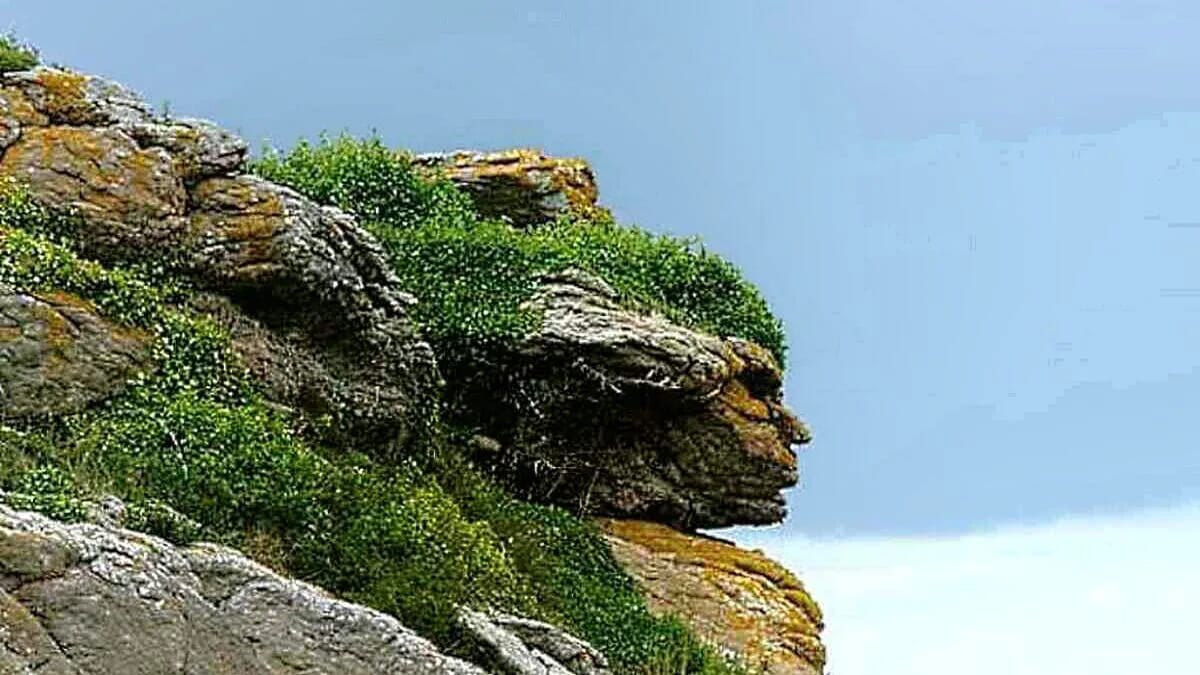 Felsen, der die Form eines menschlichen Gesichts hat, mit grüner Vegetation bedeckt.