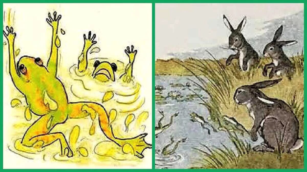frosch froesche hase hasen 25