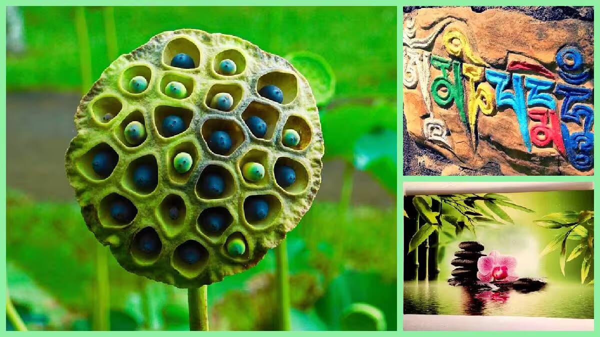 Grüne Lotuspod im Vordergrund, ergänzt durch eine Collage aus Zen-Steinen und tibetischer Schrift; Begriff Om mani padme hum sichtbar