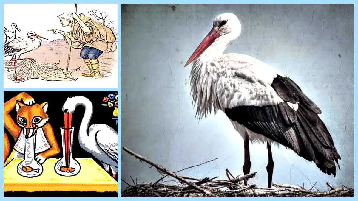 Zur Fabel Der Fuchs und der Storch von Aesop zeigt die Darstellung einen Storch mit rotem Schnabel sowie Fuchs- und Storchszenen zur Goldenen Regel.
