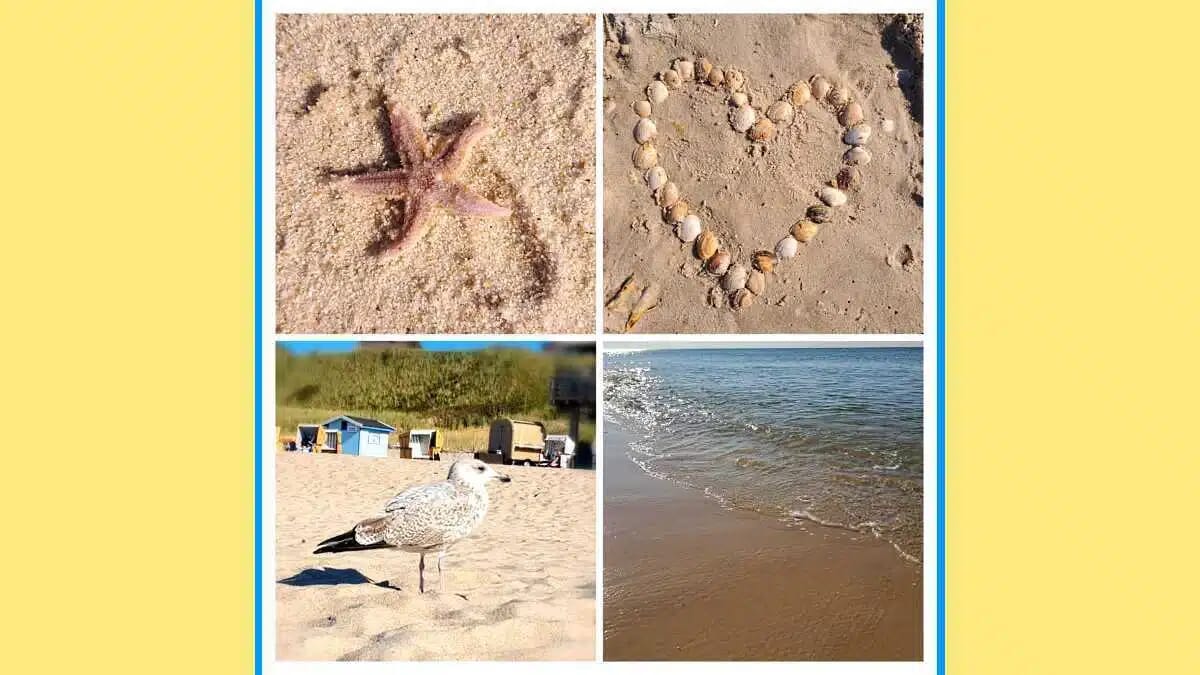 Am Strand liegen ein Seestern, ein Muschelherz, eine Möwe und sanfte Brandung, passend zu Ruhe und Erholung bei Christine Nöstlinger.