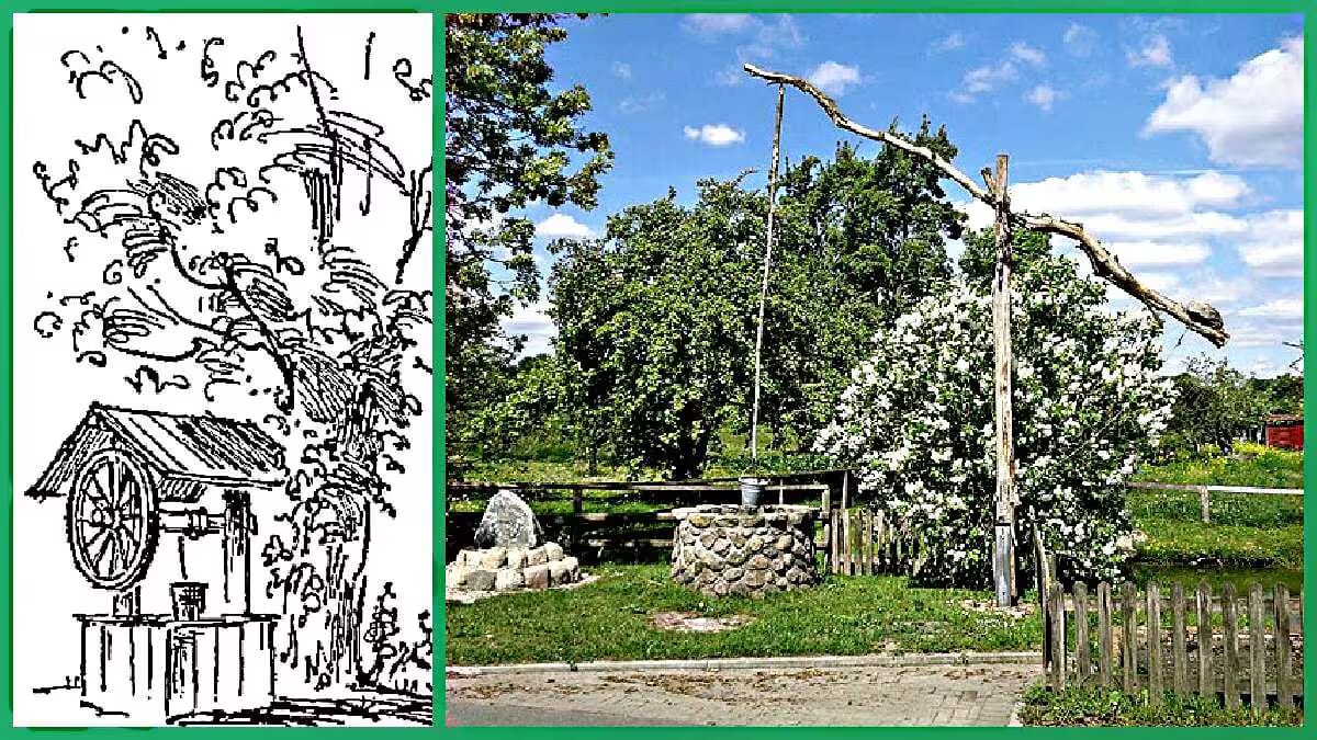 Traditioneller Ziehbrunnen mit einem Eimer, umgeben von Bäumen und einer Steinmauer.