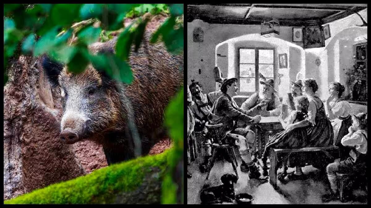 Wildschwein, das in einem Waldgebiet zwischen Bäumen und Moos steht.