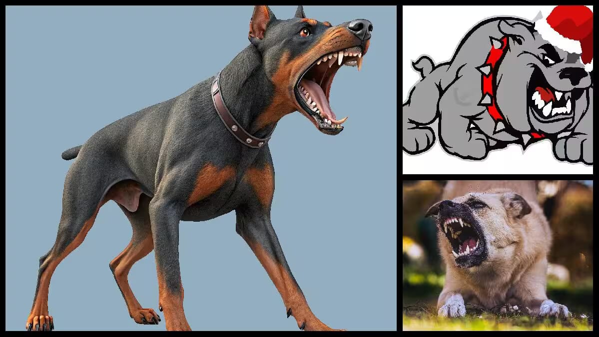 Schlagfertige Antwort, Abraham a Sancta Clara, bissiger Hund, Angriff mit Zähnen, grau-braun, Maul aufgerissen
