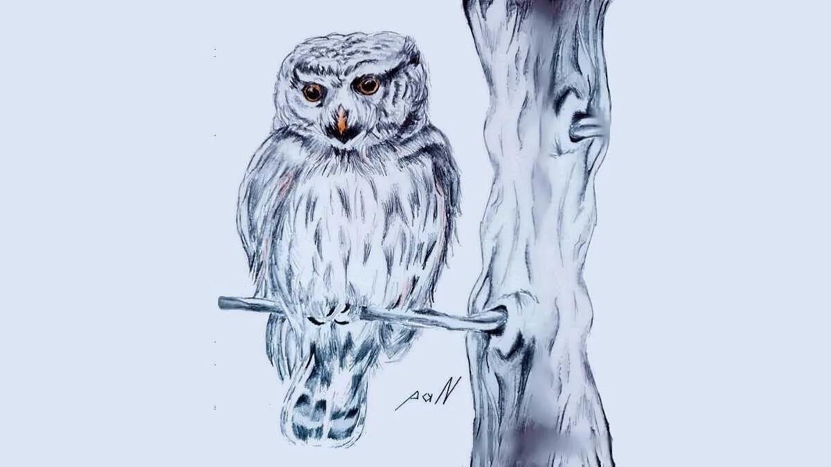 Eule Vogel Wappentier Weisheit Kauz Ast Baum Stamm