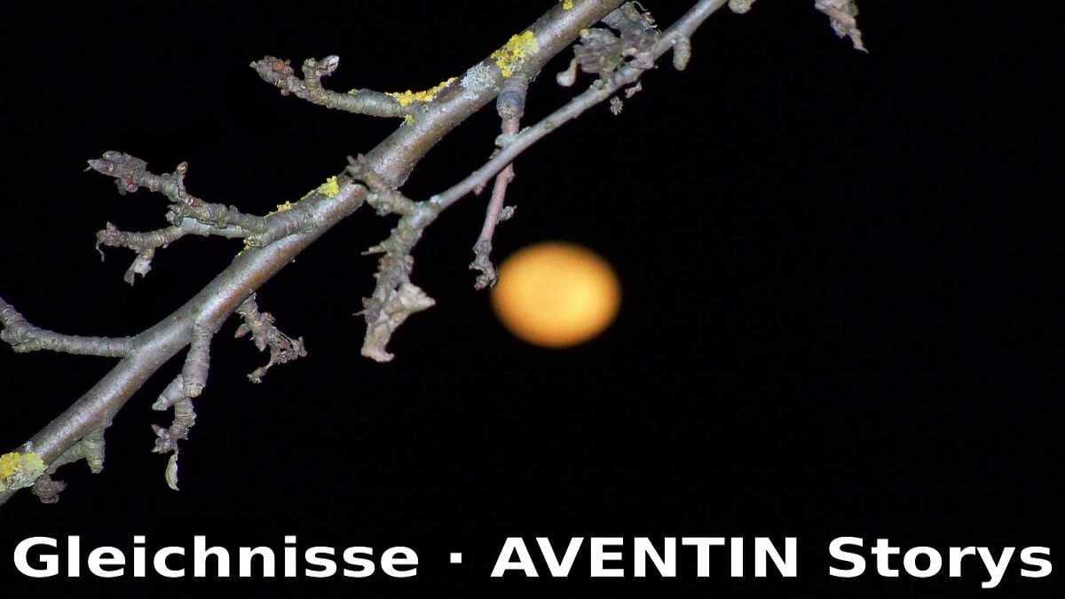 Gleichnisse · AVENTIN Storys · Erzählungen zum Nachdenken
