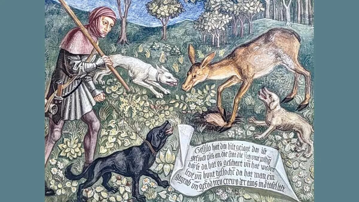 Jagd Hund Jäger Wild Wald Reh · AVENTIN Storys