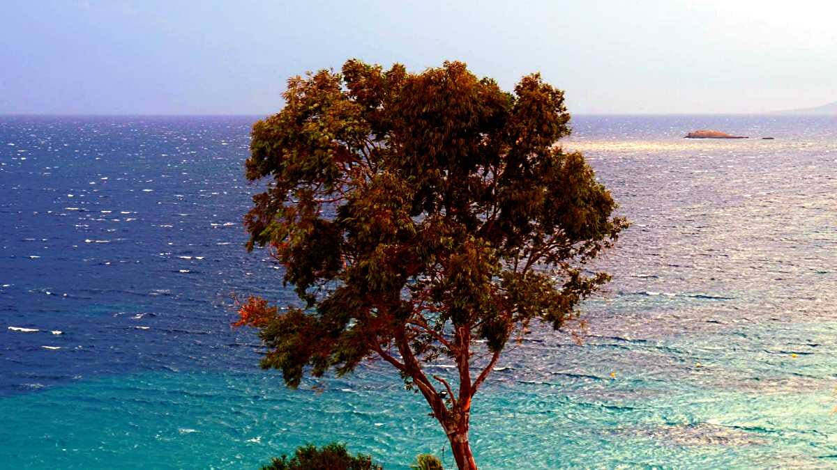 AVENTIN Storys · Meer Baum Wasser Sonne Griechenland Küste